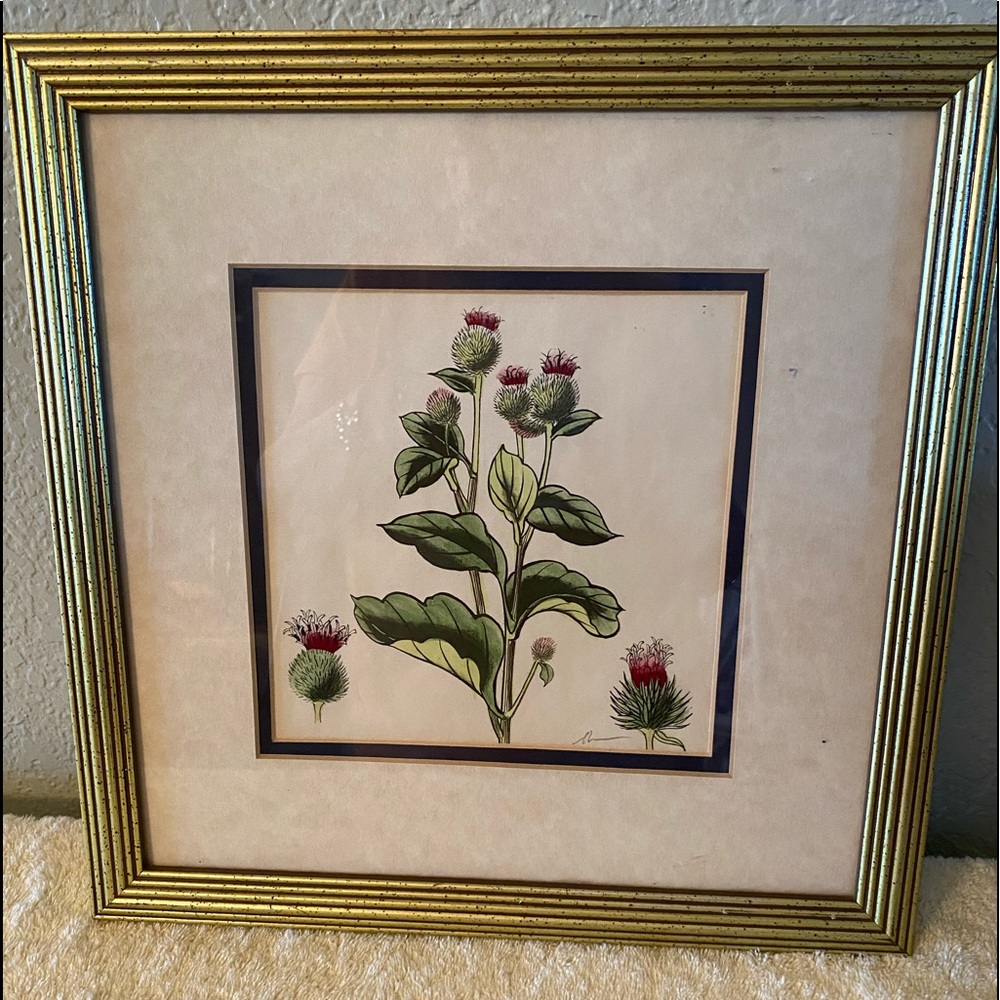 Framed print.  Double matted, 13.5 x 13.5 with gold frame.  Like new.